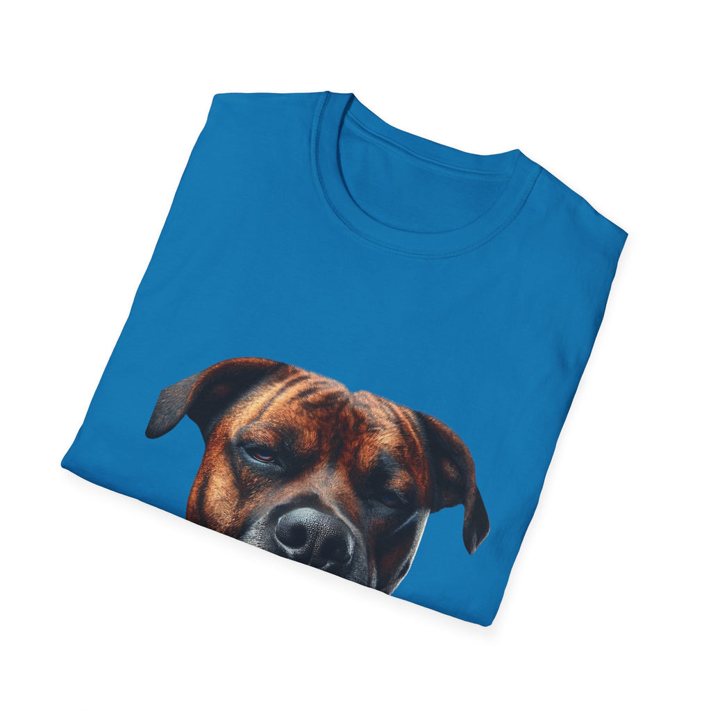 Cool Boxer