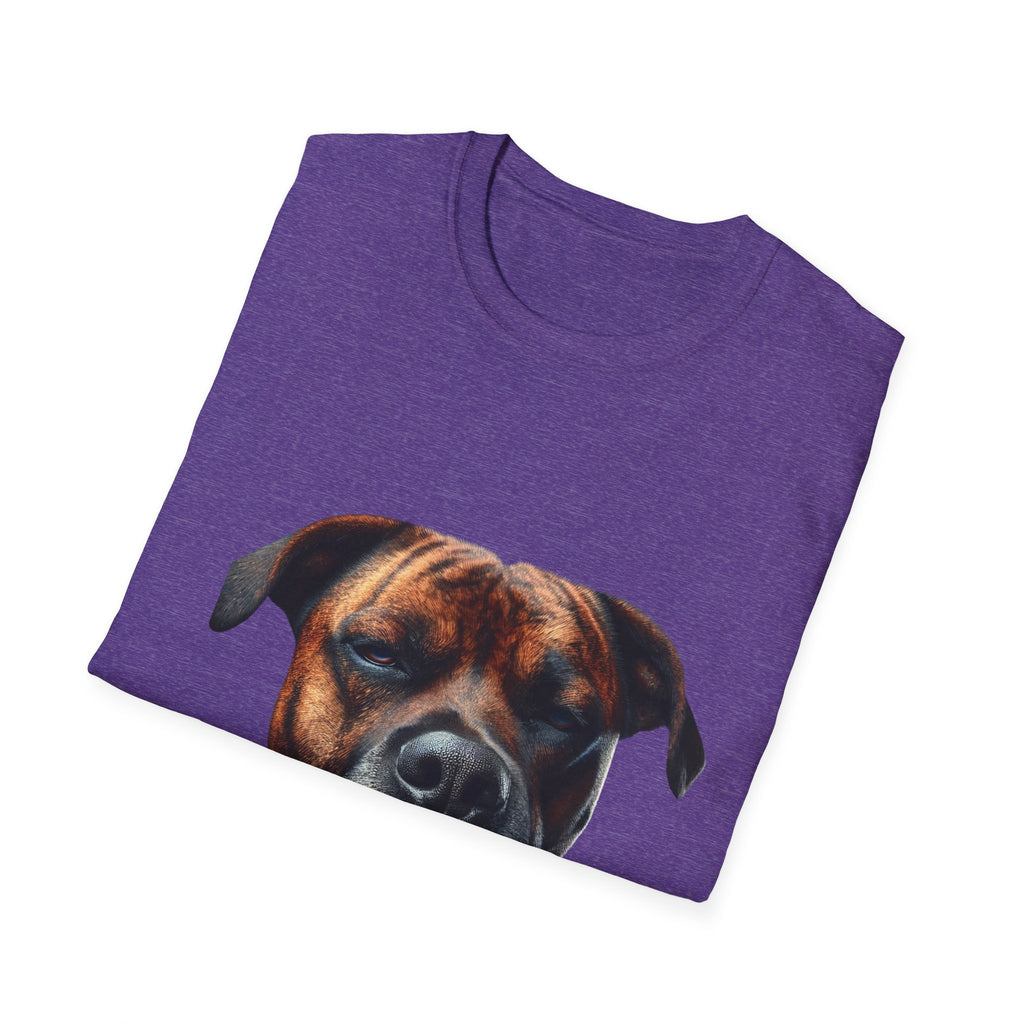 Cool Boxer