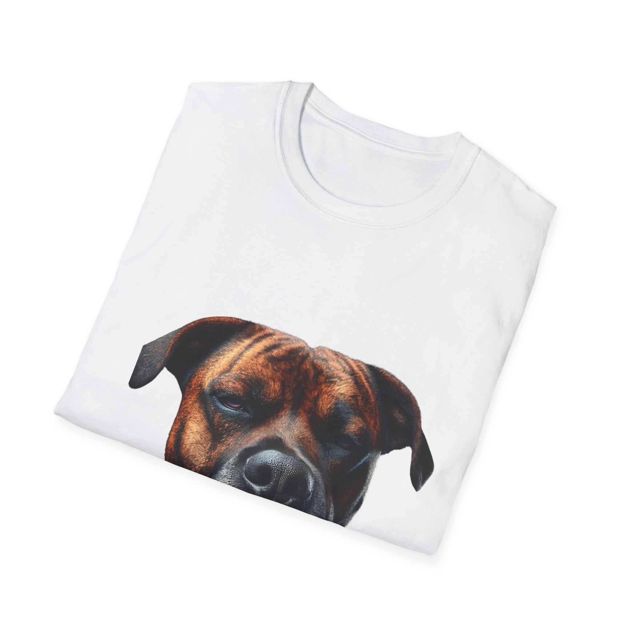 Cool Boxer