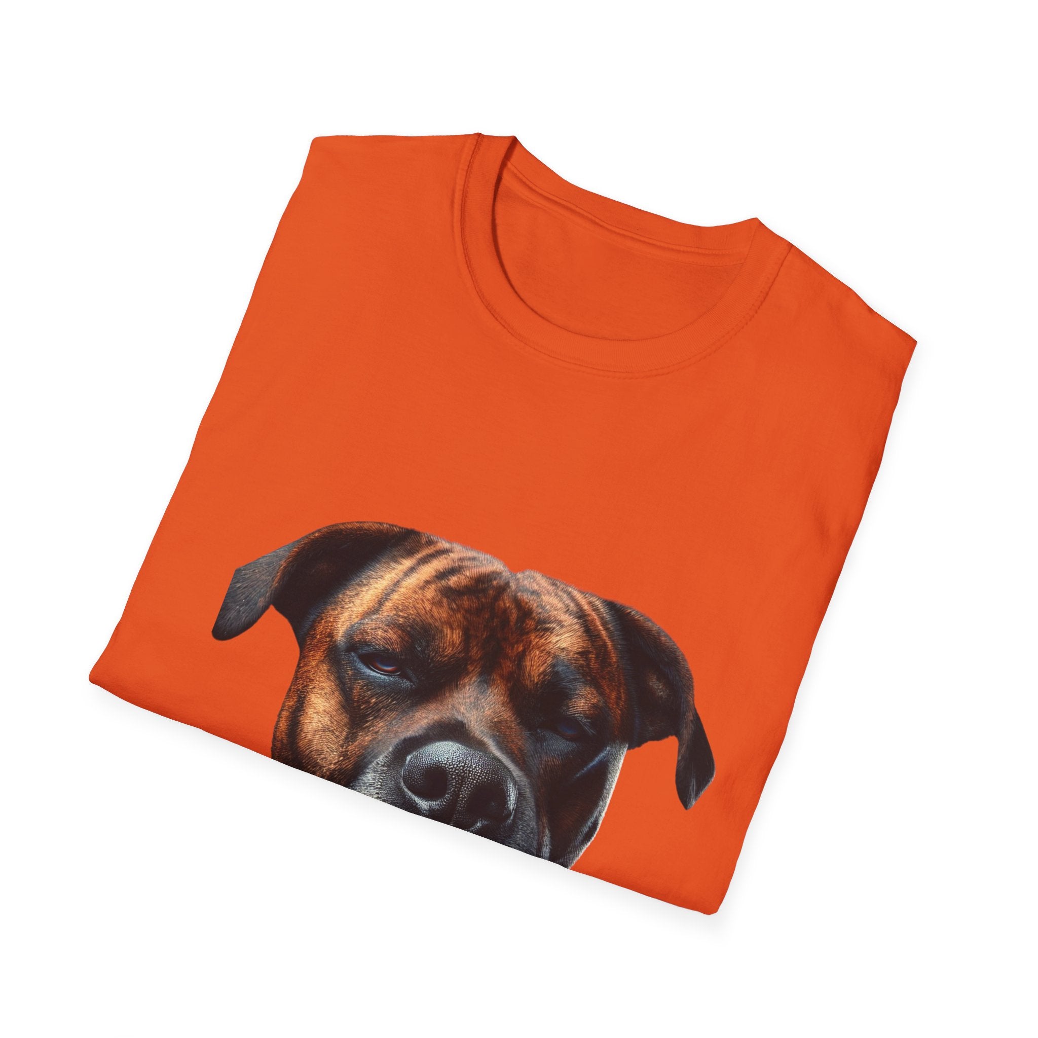 Cool Boxer