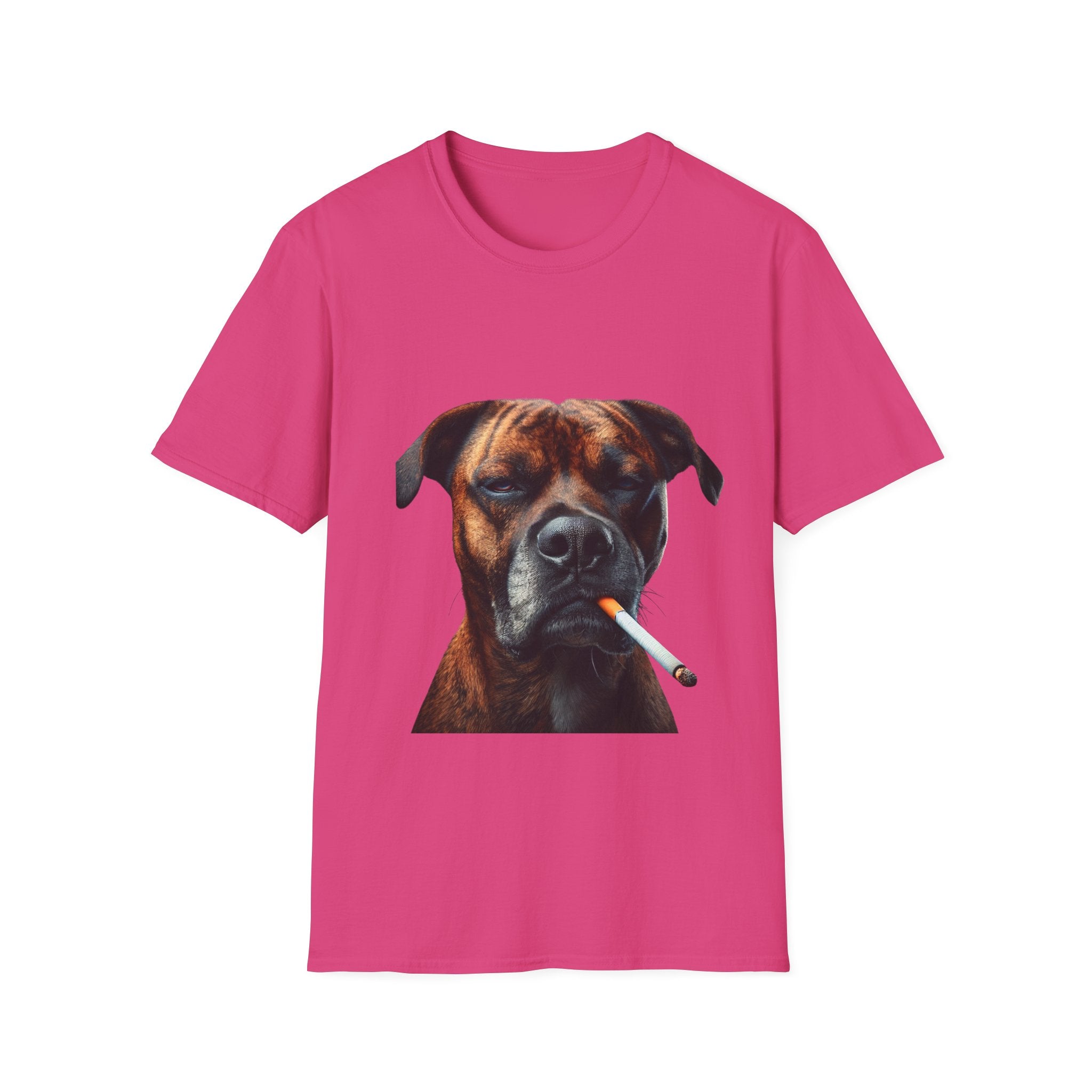 Cool Boxer