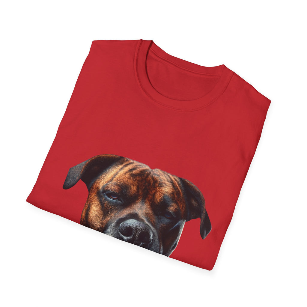 Cool Boxer
