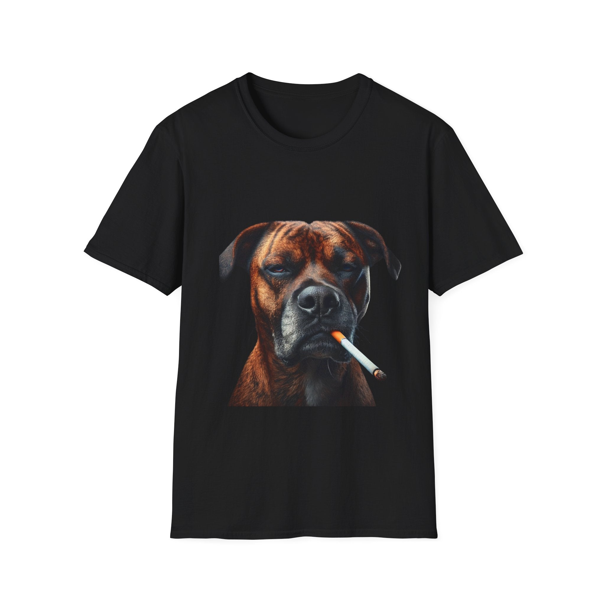Cool Boxer