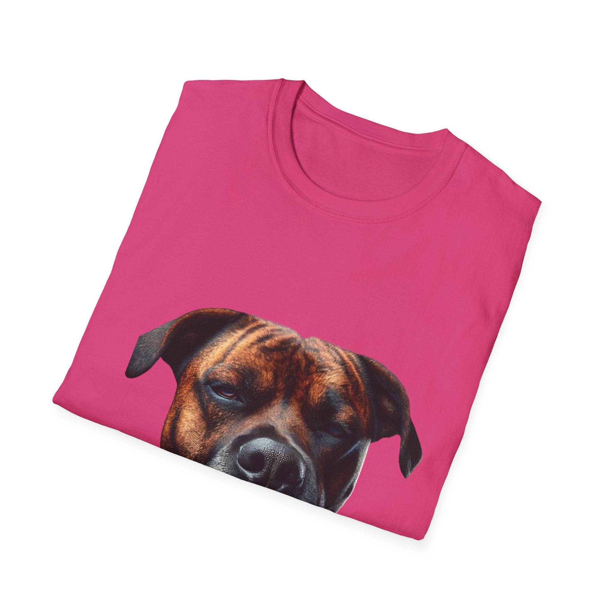 Cool Boxer