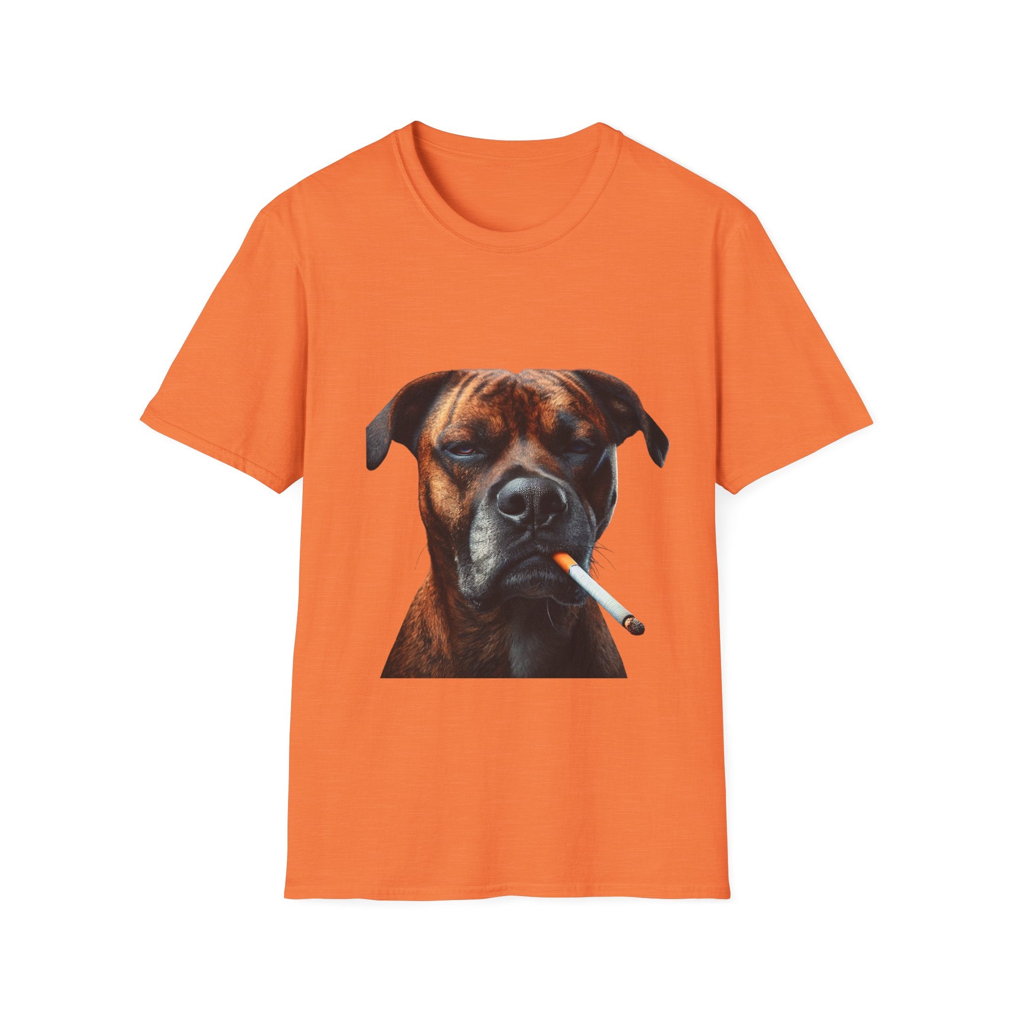Cool Boxer