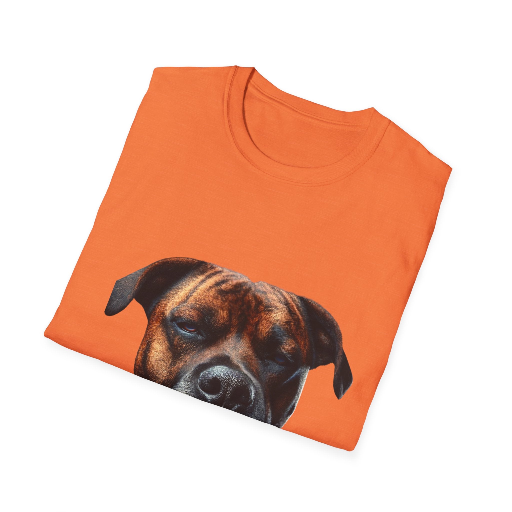 Cool Boxer