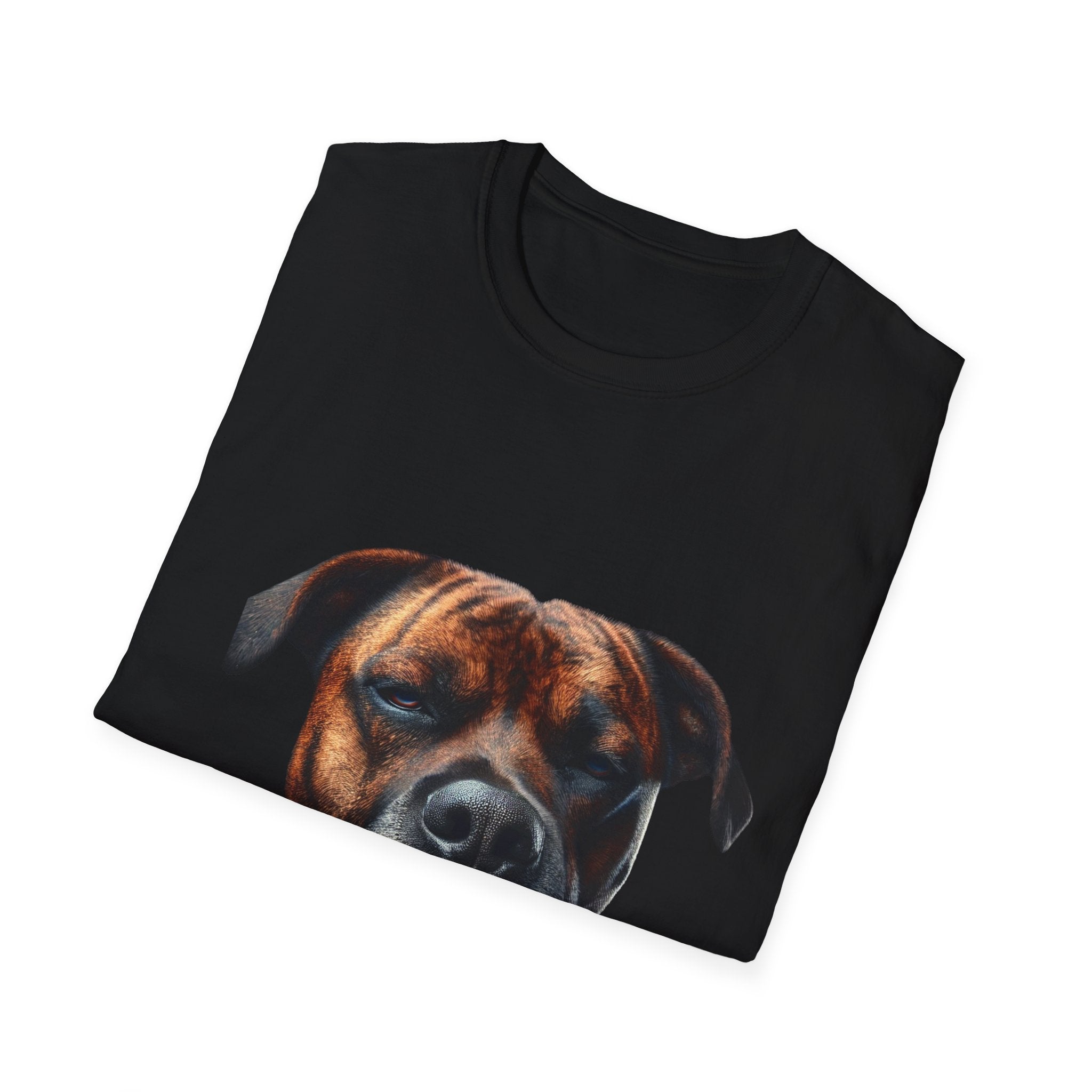 Cool Boxer