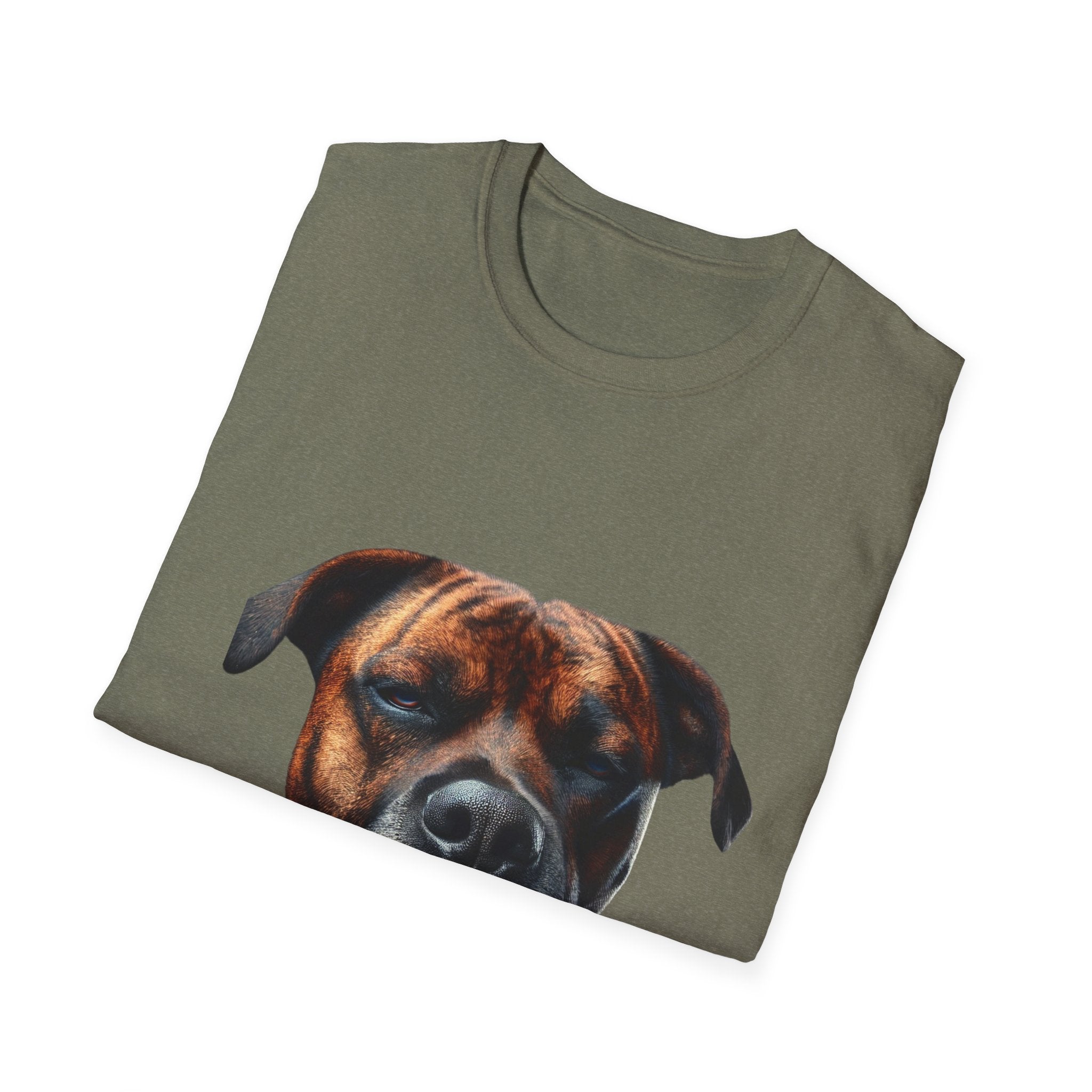 Cool Boxer