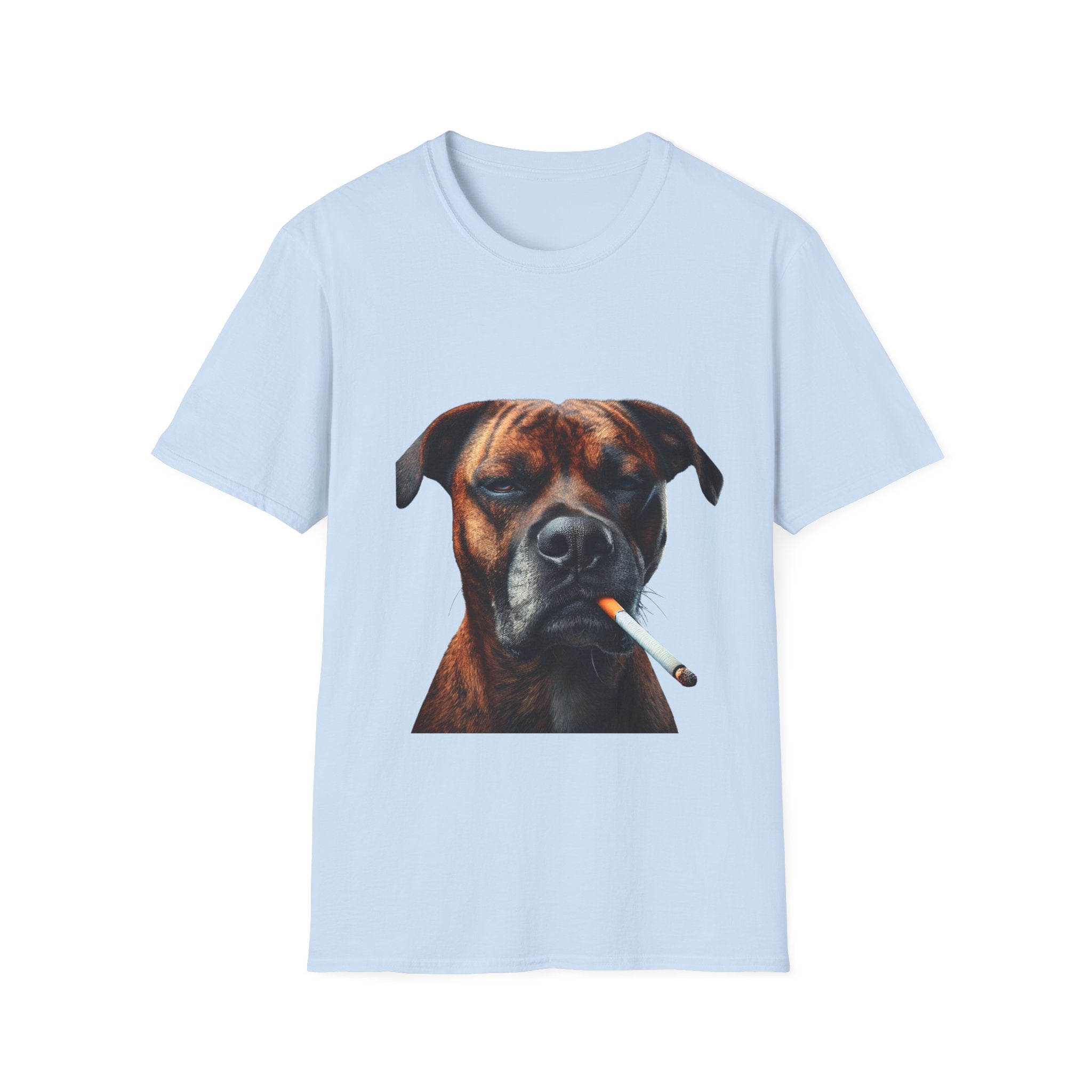 Cool Boxer