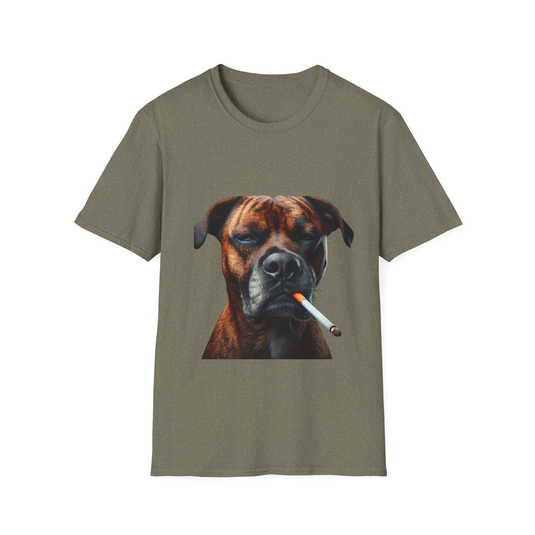 Cool Boxer
