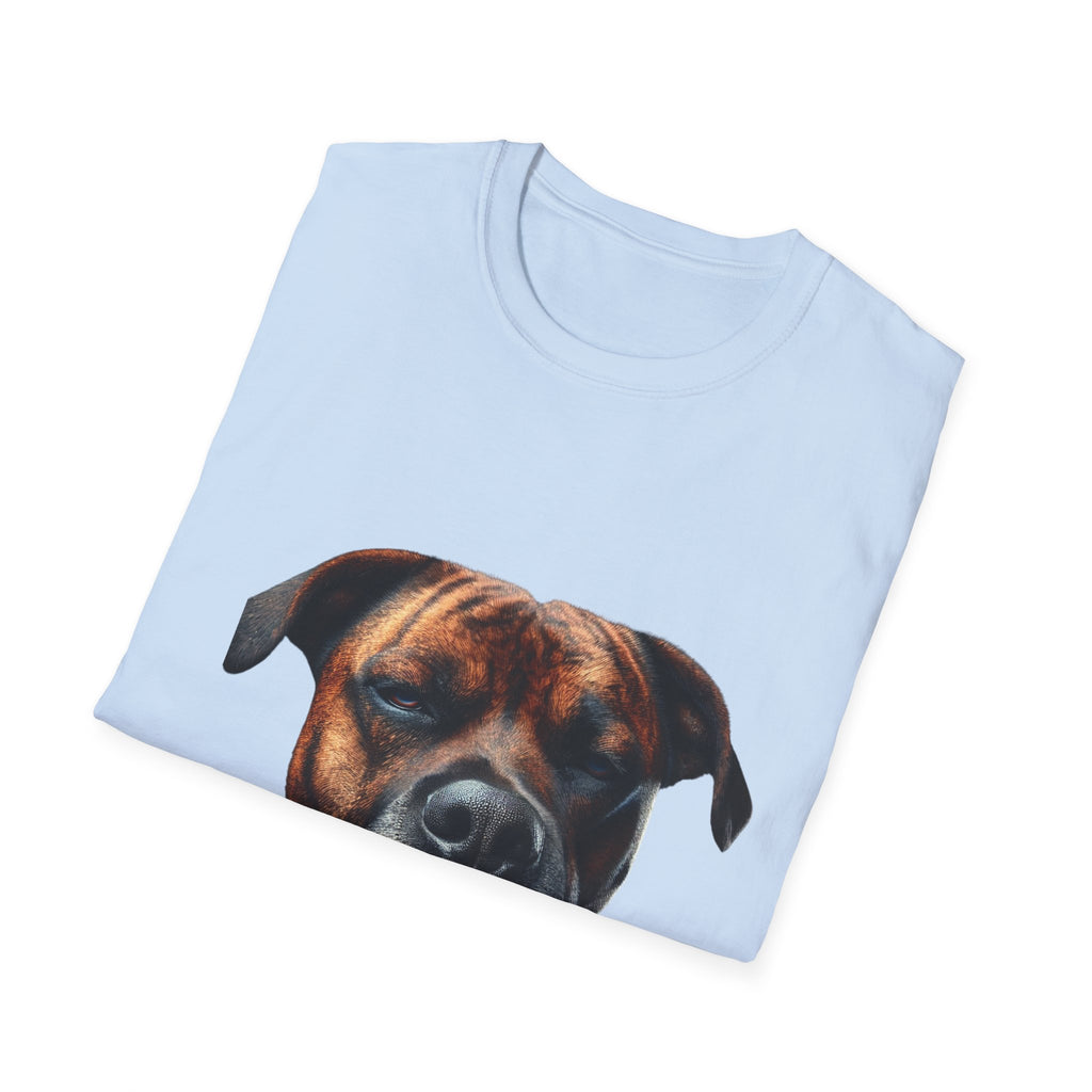 Cool Boxer