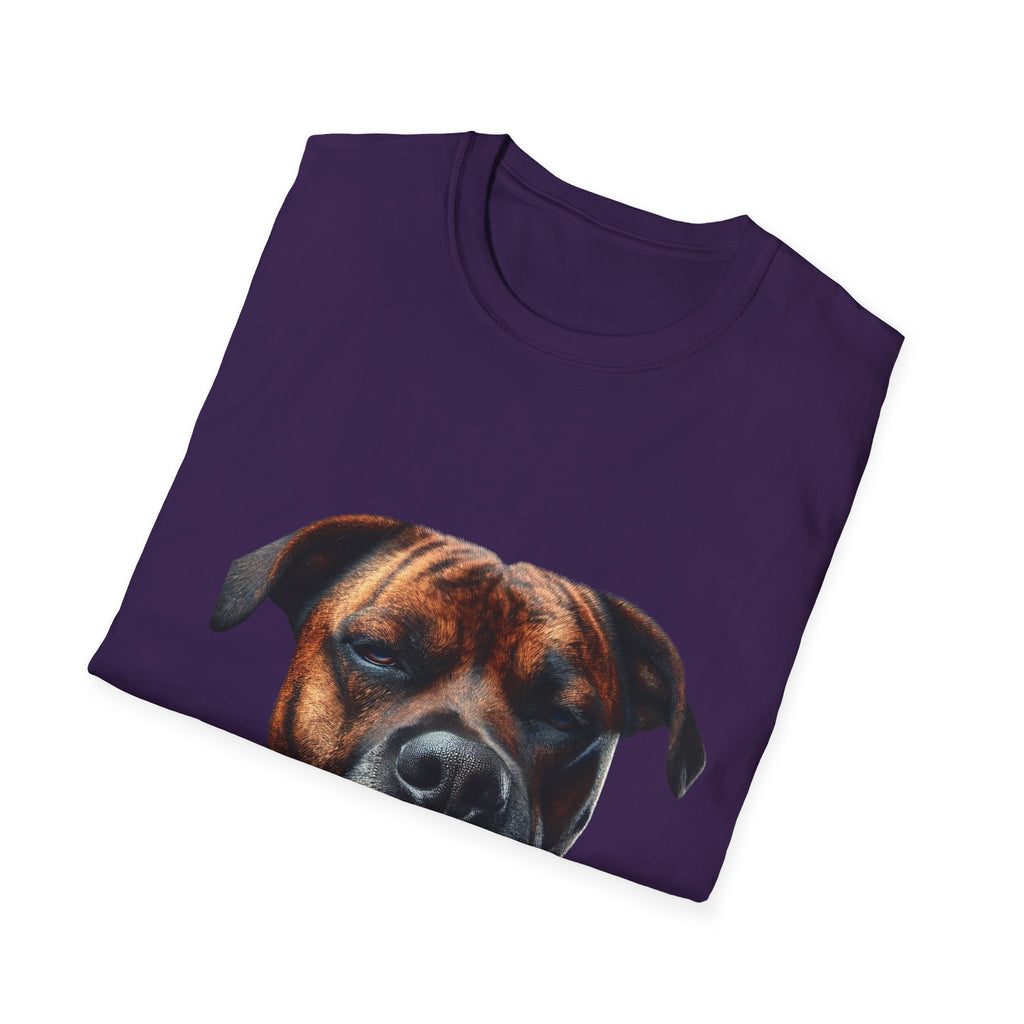 Cool Boxer