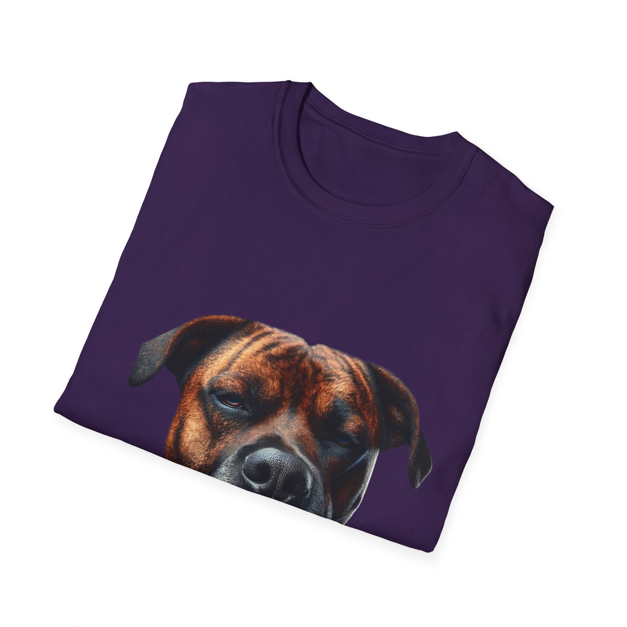 Cool Boxer