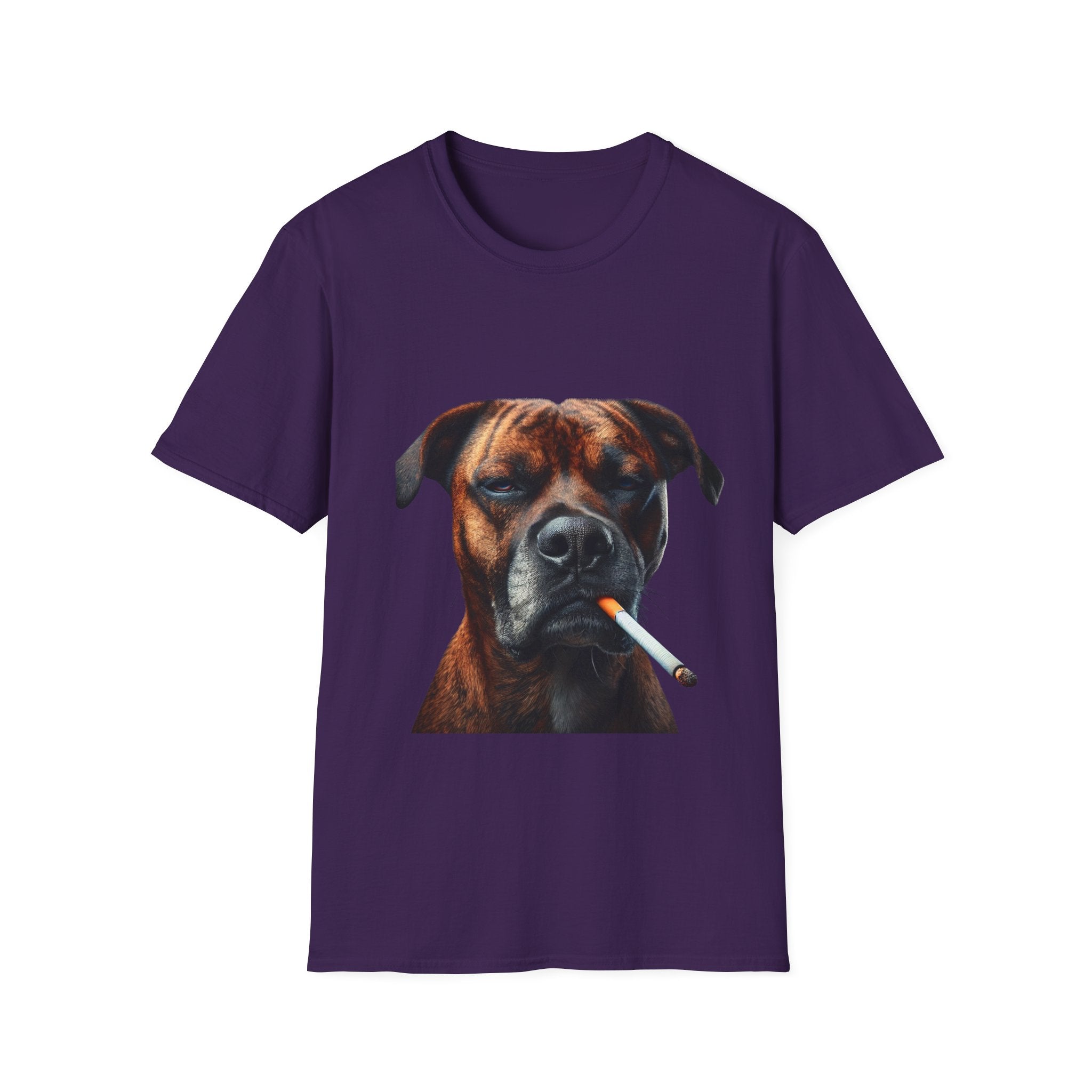 Cool Boxer
