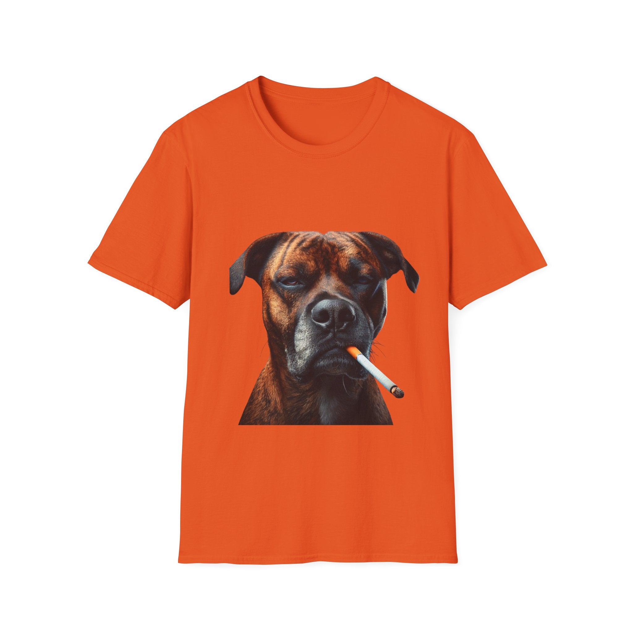 Cool Boxer