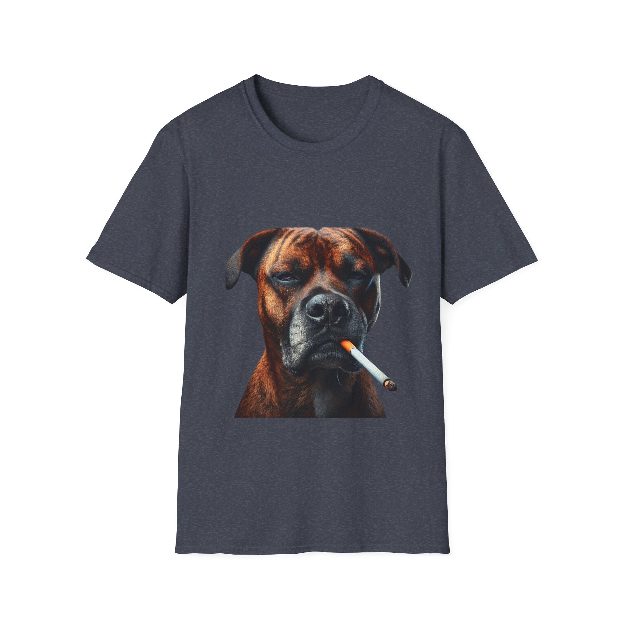 Cool Boxer