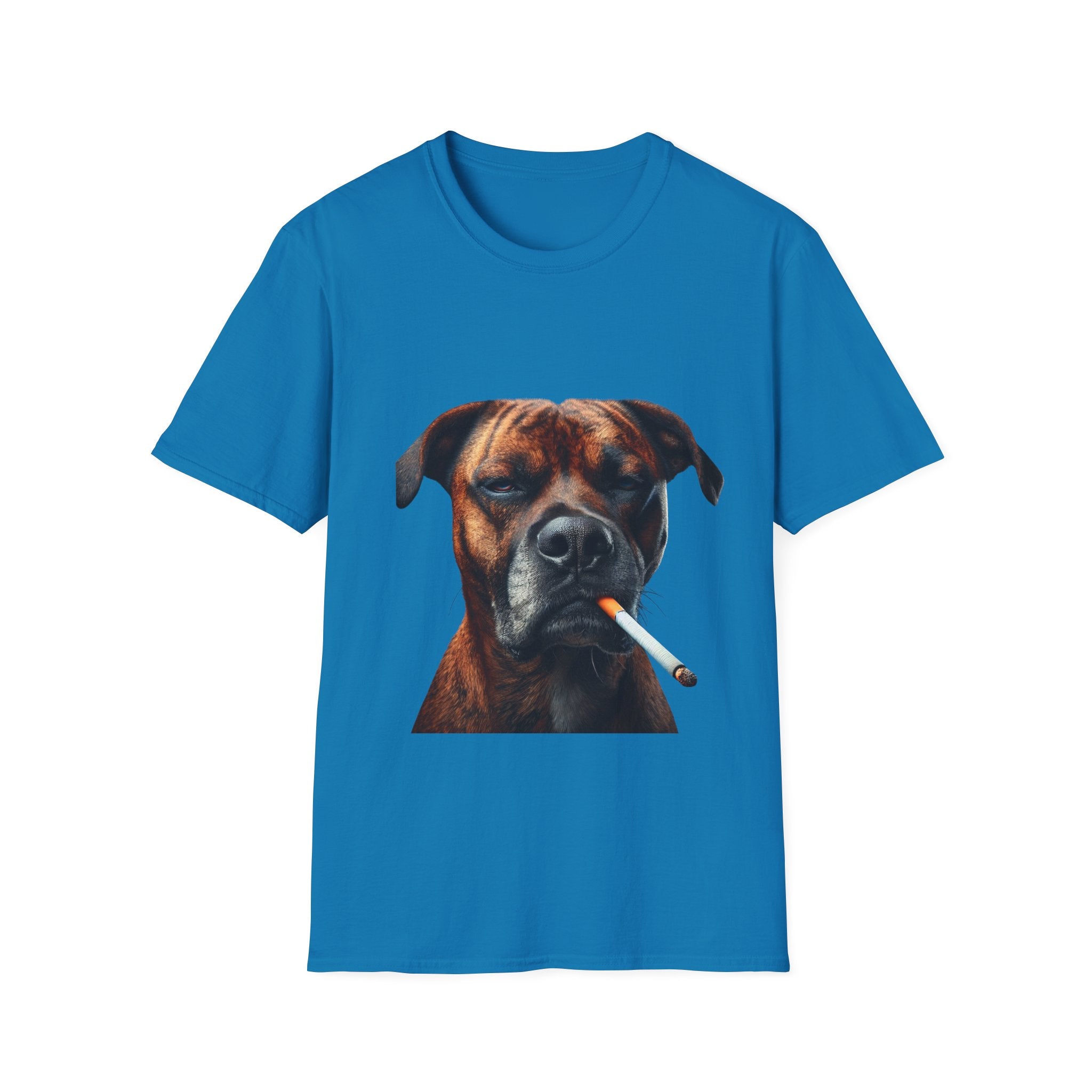 Cool Boxer