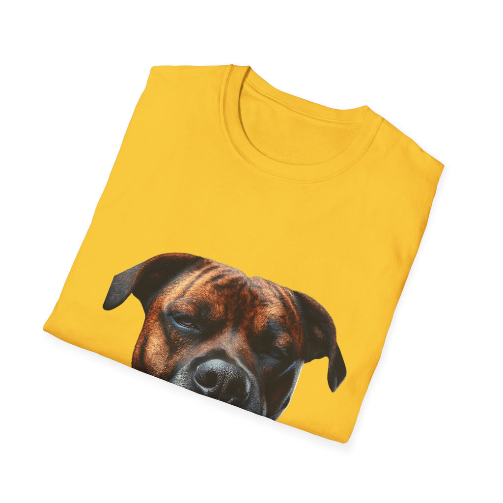 Cool Boxer