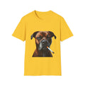 Cool Boxer