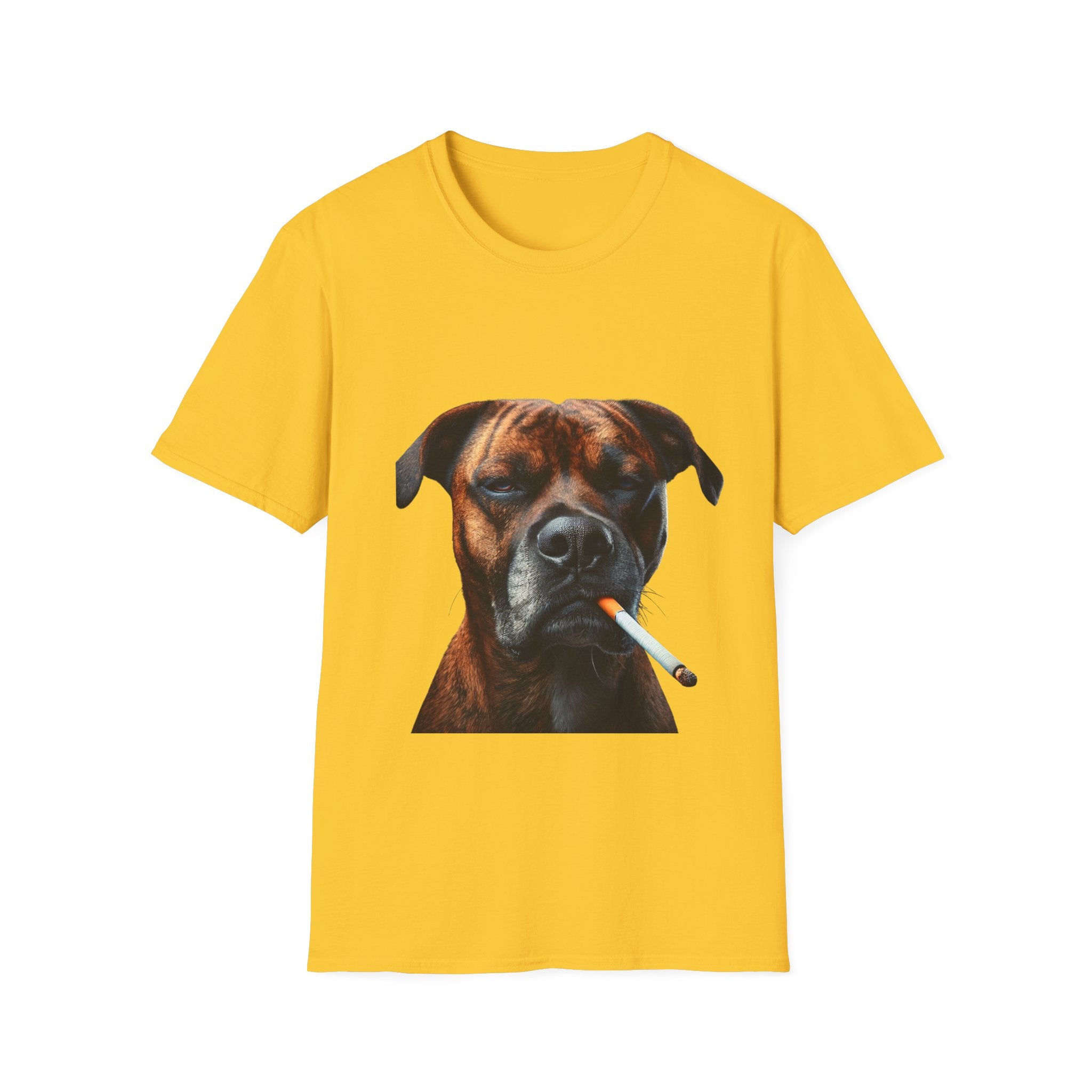 Cool Boxer