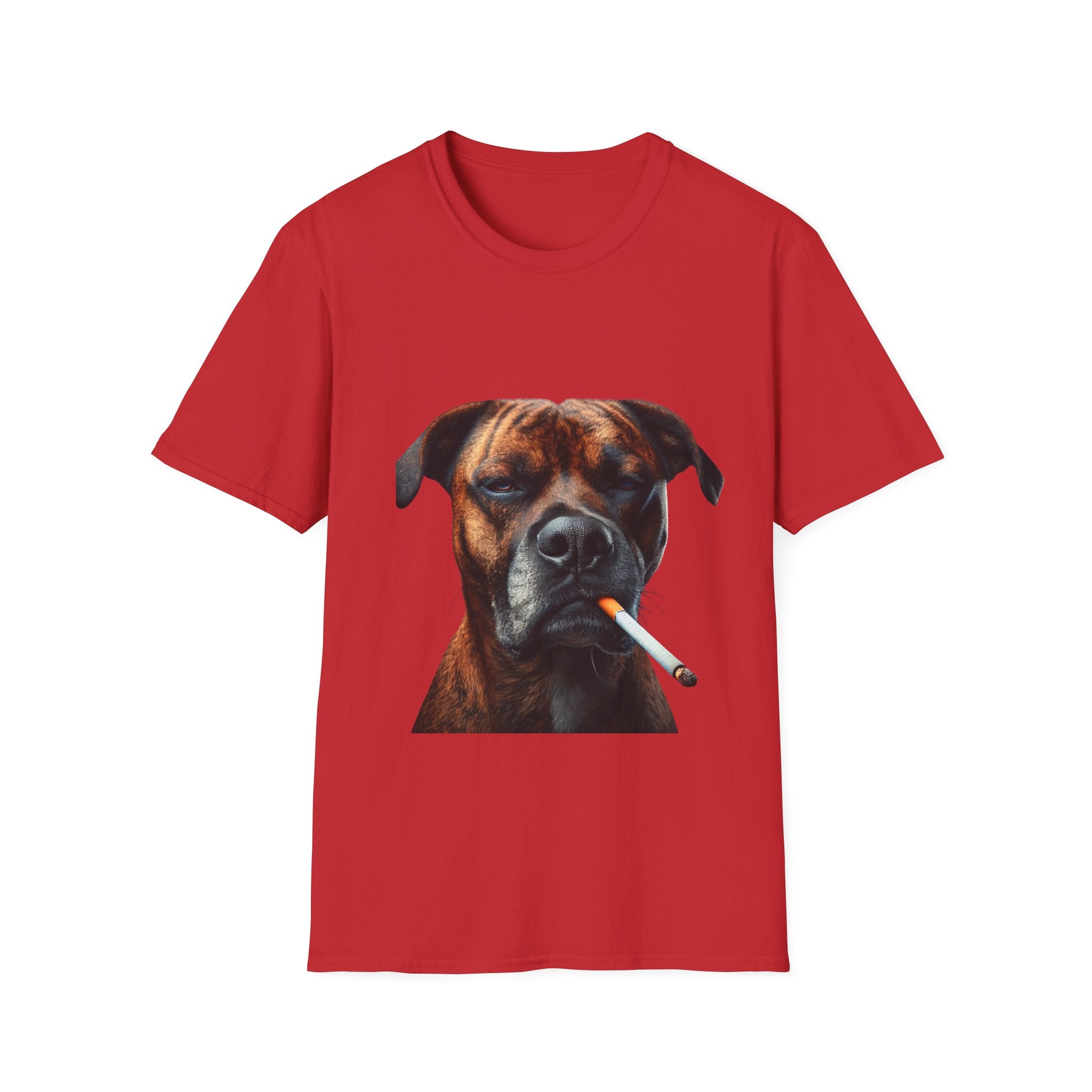 Cool Boxer