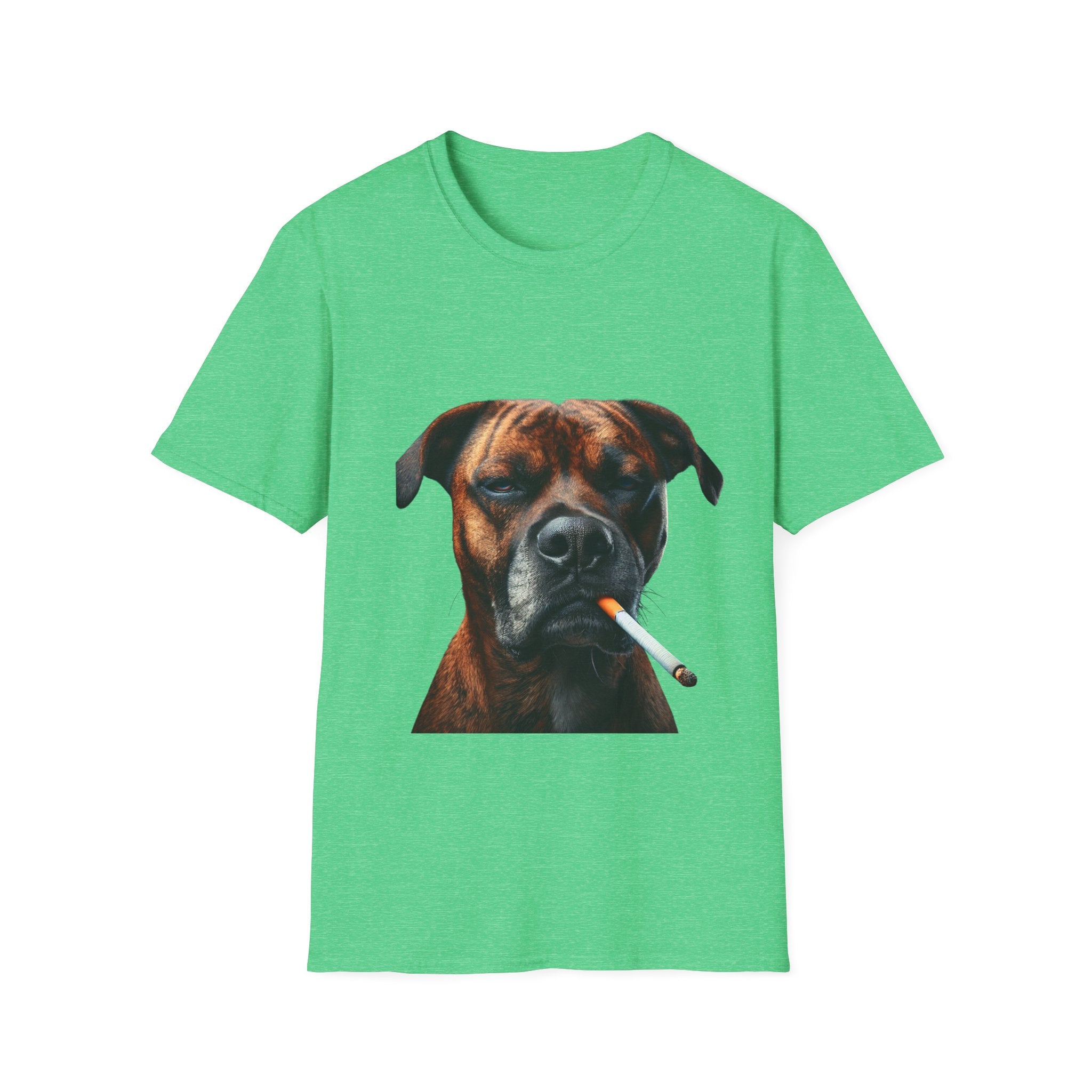 Cool Boxer