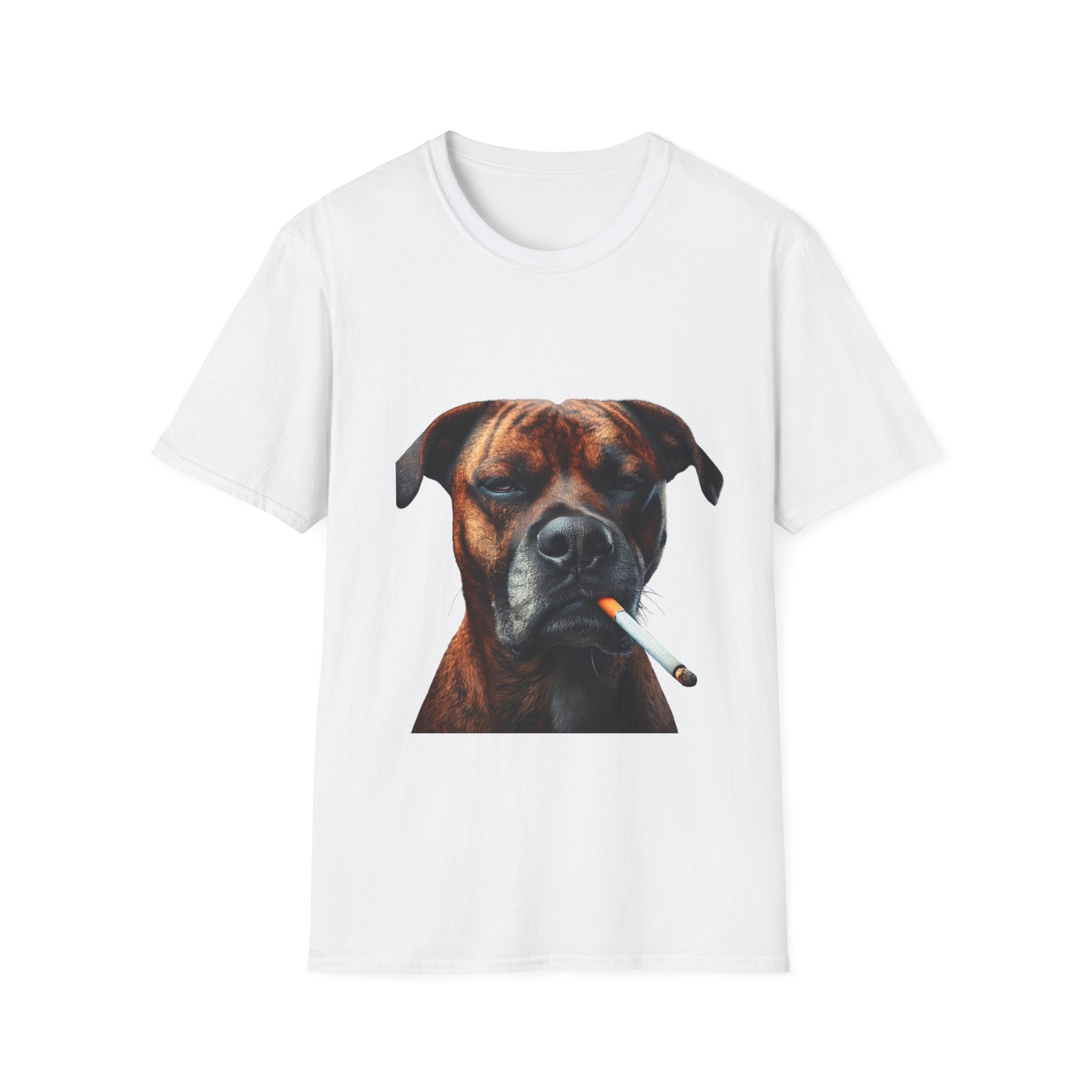 Cool Boxer