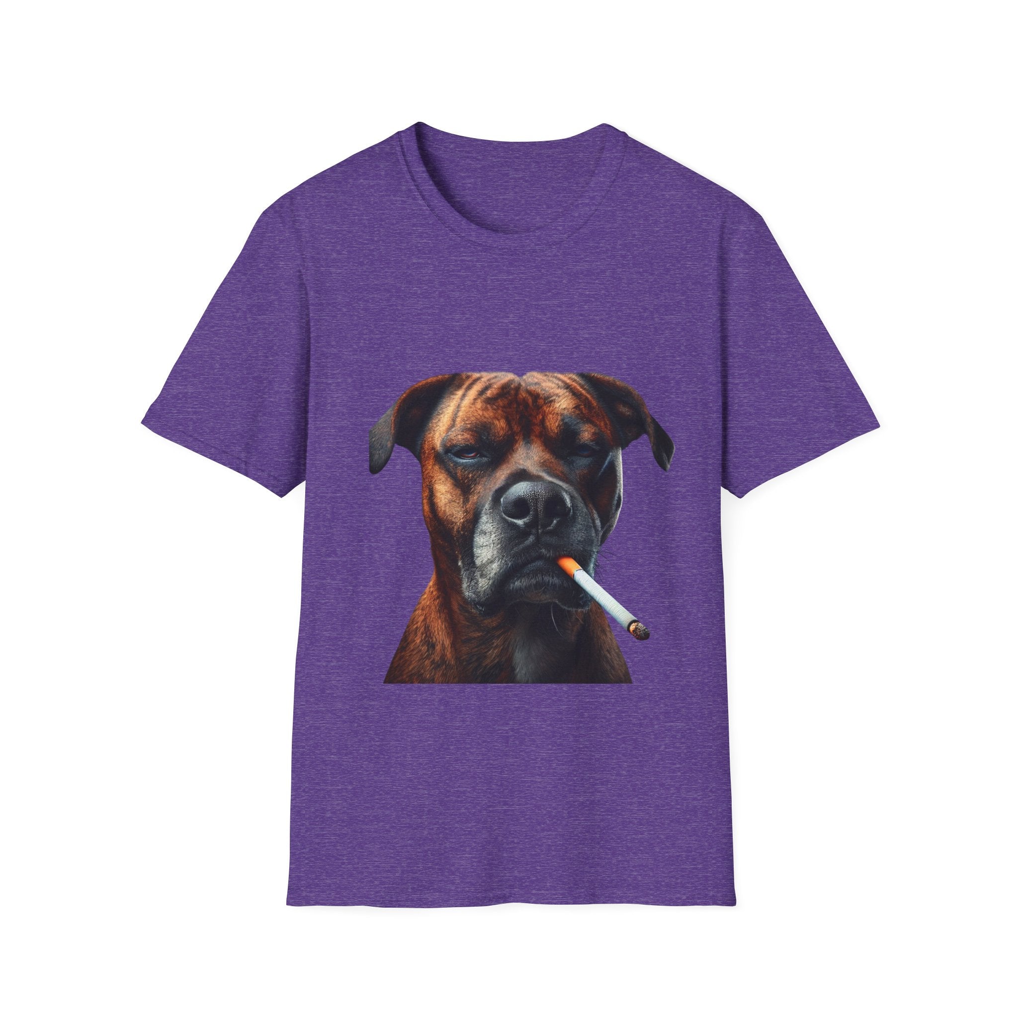 Cool Boxer