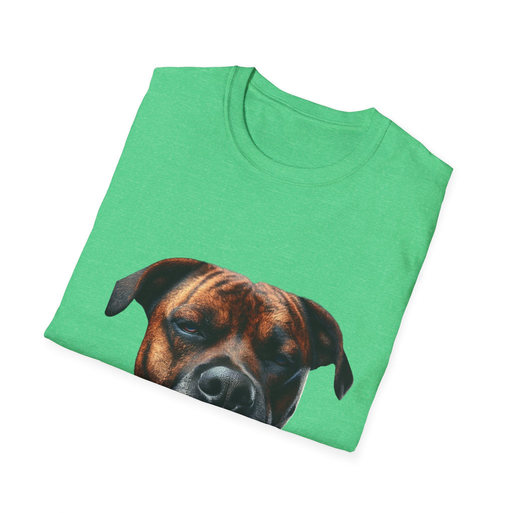Cool Boxer